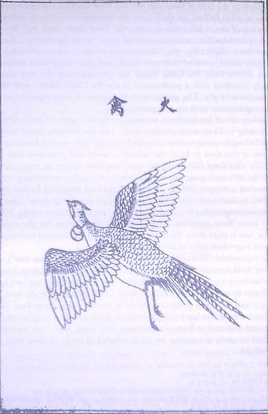 Chinese_Bird_with_Incendiary